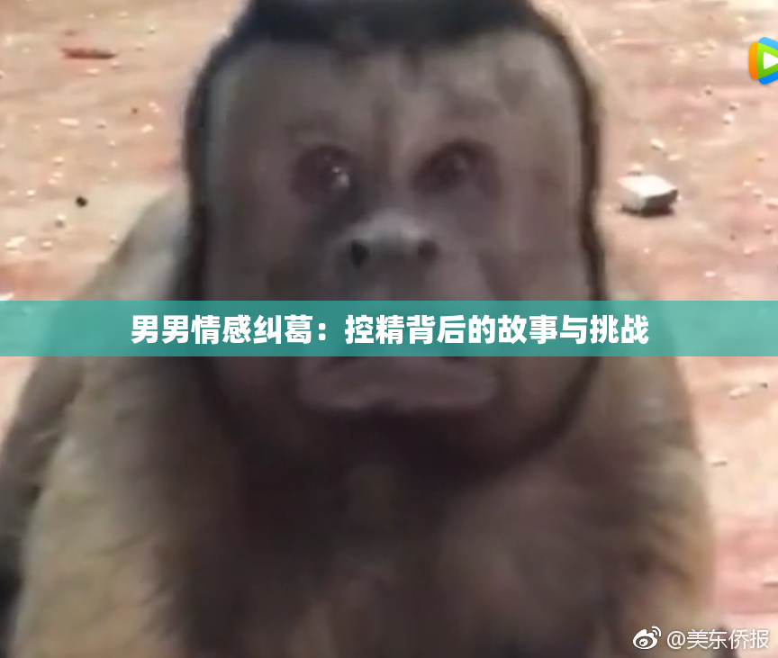 男男情感纠葛：控精背后的故事与挑战