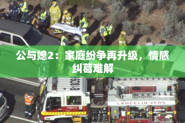 公与媳2：家庭纷争再升级，情感纠葛难解