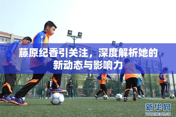 藤原纪香引关注，深度解析她的新动态与影响力