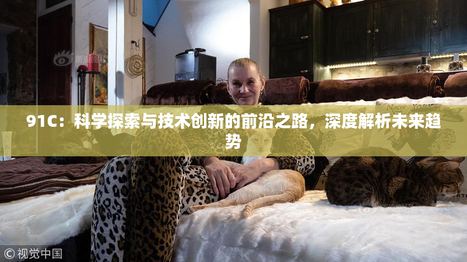 91C：科学探索与技术创新的前沿之路，深度解析未来趋势