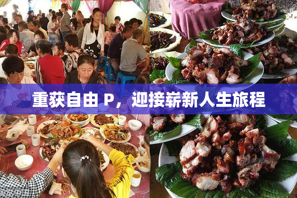 重获自由 P，迎接崭新人生旅程