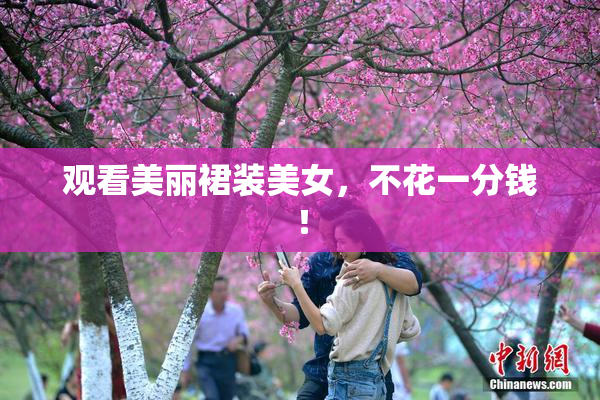 观看美丽裙装美女，不花一分钱！