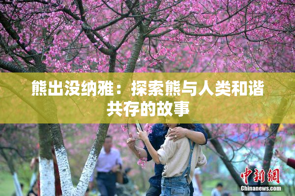 熊出没纳雅：探索熊与人类和谐共存的故事