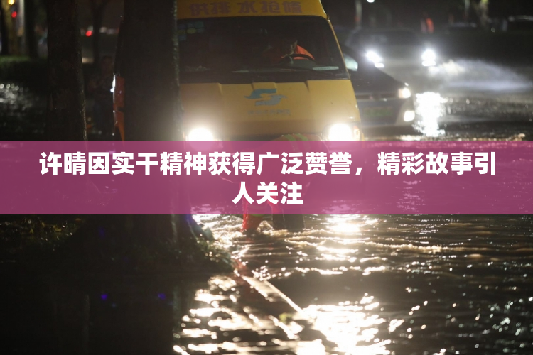 许晴因实干精神获得广泛赞誉，精彩故事引人关注