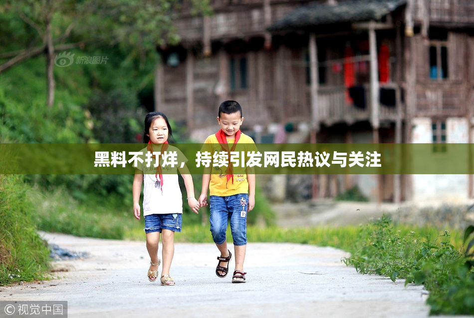 黑料不打烊，持续引发网民热议与关注