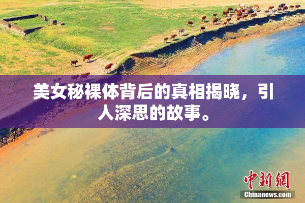 美女秘裸体背后的真相揭晓，引人深思的故事。