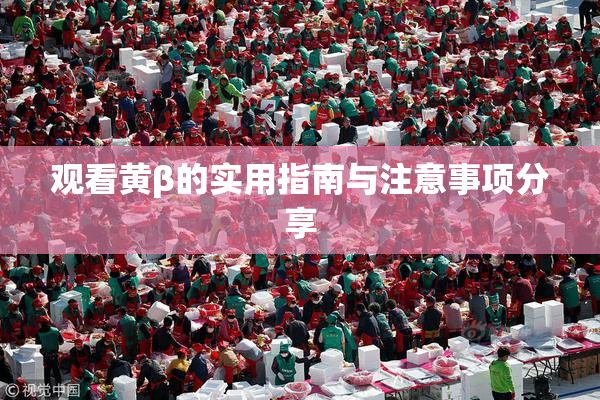 观看黄β的实用指南与注意事项分享