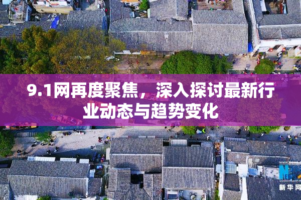 9.1网再度聚焦，深入探讨最新行业动态与趋势变化