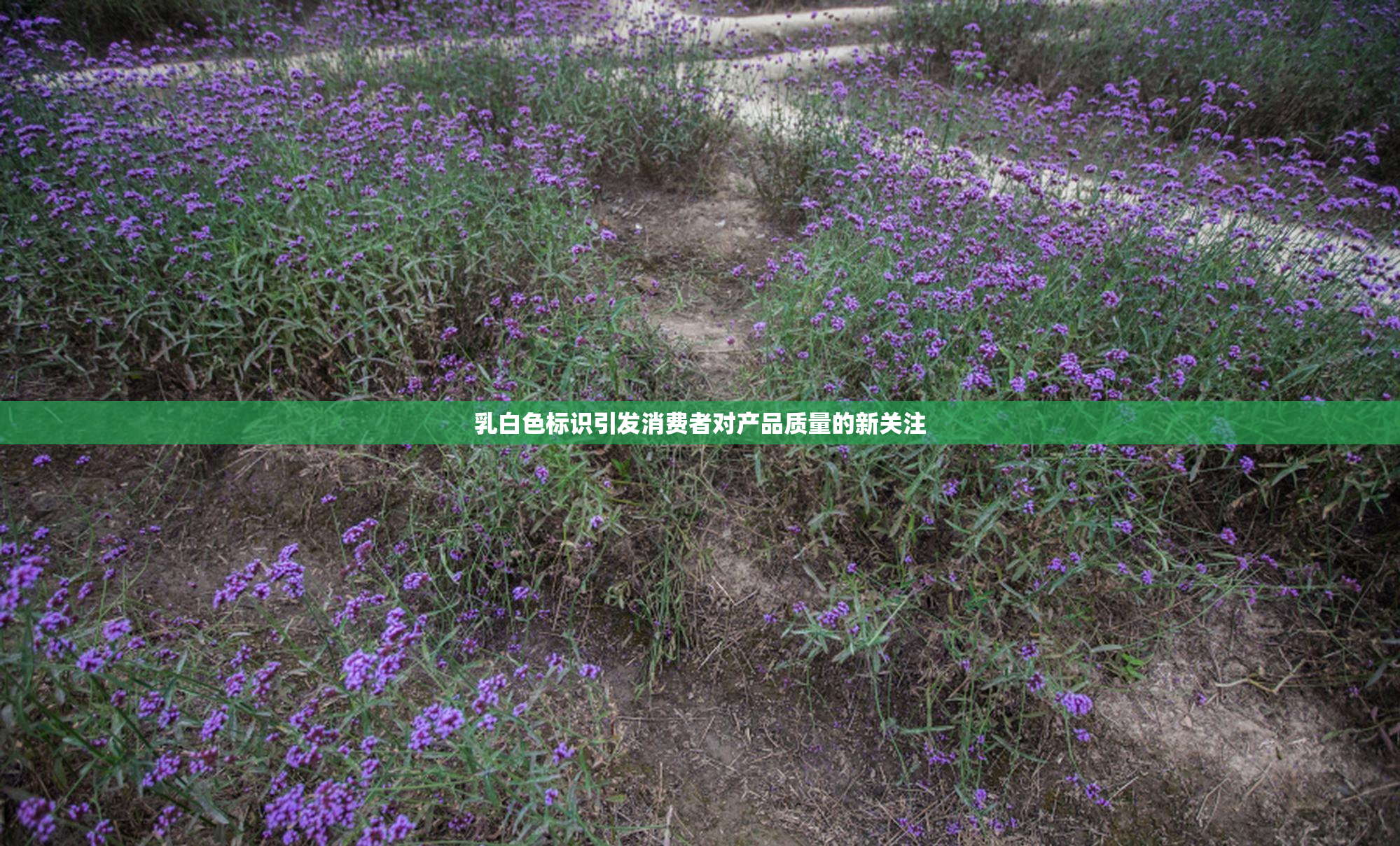 乳白色标识引发消费者对产品质量的新关注
