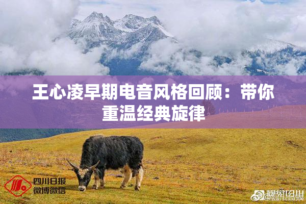 王心凌早期电音风格回顾：带你重温经典旋律