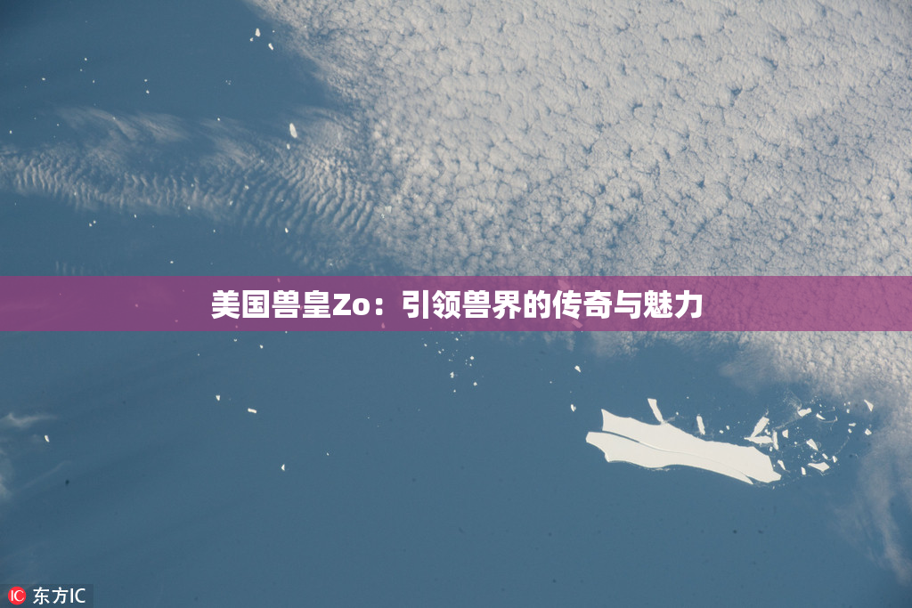 美国兽皇Zo：引领兽界的传奇与魅力