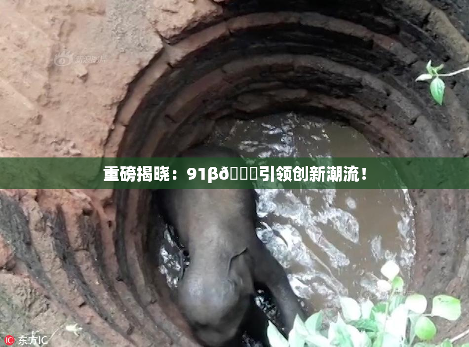 重磅揭晓：91β🔞引领创新潮流！