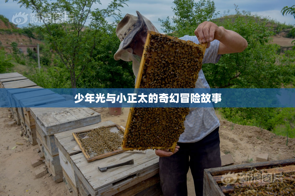 少年光与小正太的奇幻冒险故事