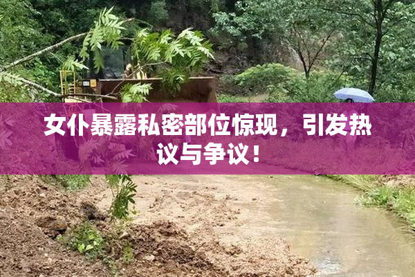 女仆暴露私密部位惊现，引发热议与争议！