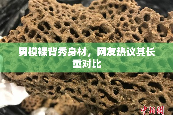 男模裸背秀身材，网友热议其长重对比