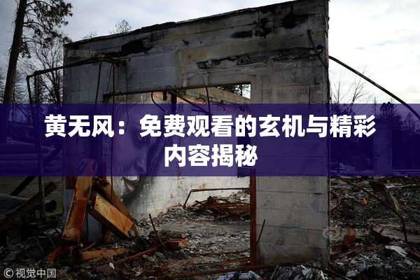 黄无风：免费观看的玄机与精彩内容揭秘