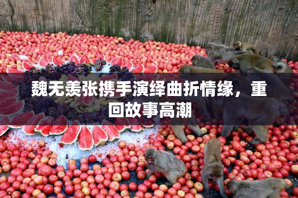 魏无羡张携手演绎曲折情缘，重回故事高潮
