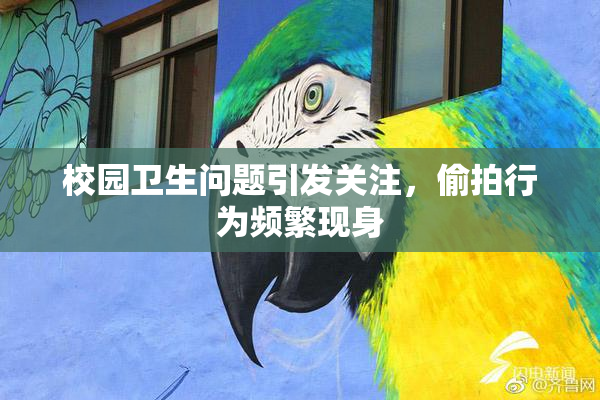 校园卫生问题引发关注，偷拍行为频繁现身