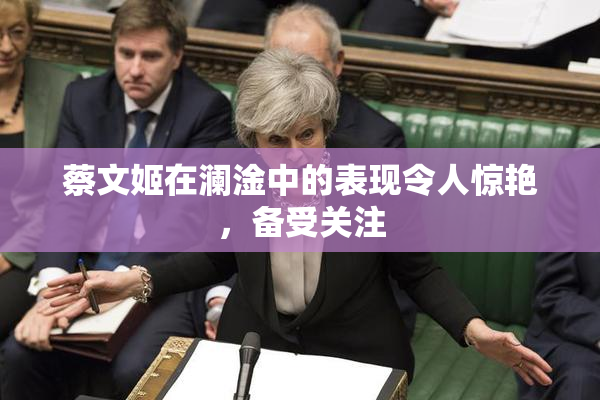 蔡文姬在澜淦中的表现令人惊艳，备受关注