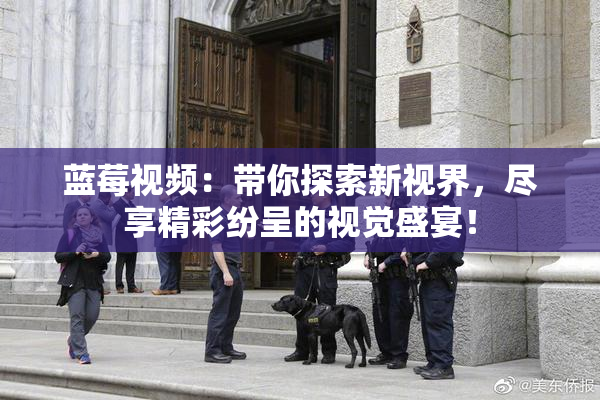 蓝莓视频：带你探索新视界，尽享精彩纷呈的视觉盛宴！