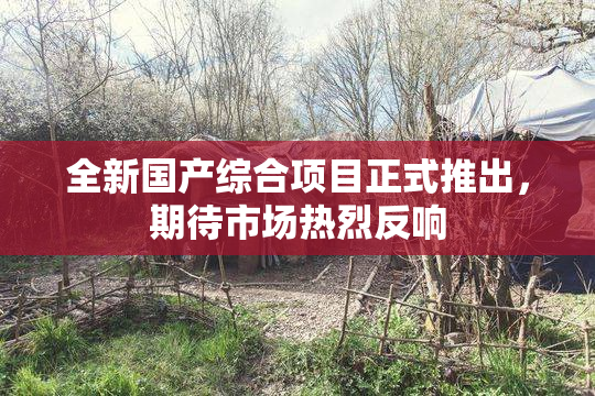 全新国产综合项目正式推出，期待市场热烈反响