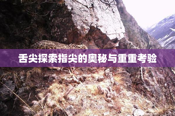 舌尖探索指尖的奥秘与重重考验