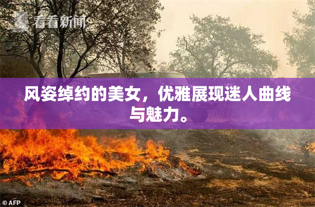 风姿绰约的美女，优雅展现迷人曲线与魅力。