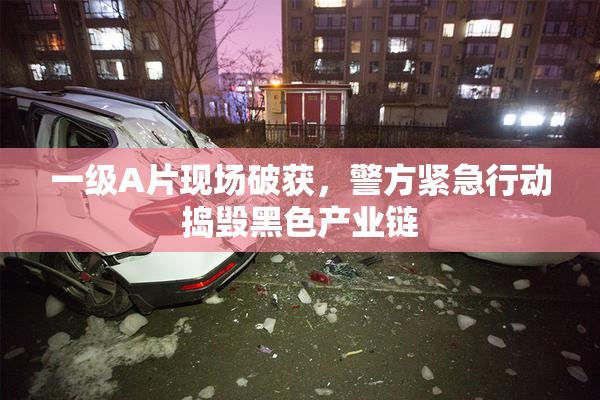 一级A片现场破获，警方紧急行动捣毁黑色产业链