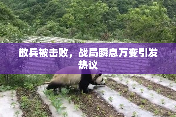 散兵被击败，战局瞬息万变引发热议