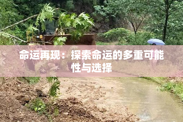命运再现：探索命运的多重可能性与选择