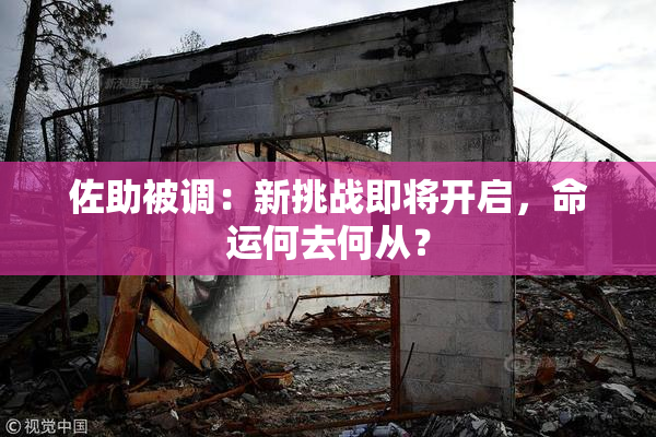 佐助被调：新挑战即将开启，命运何去何从？