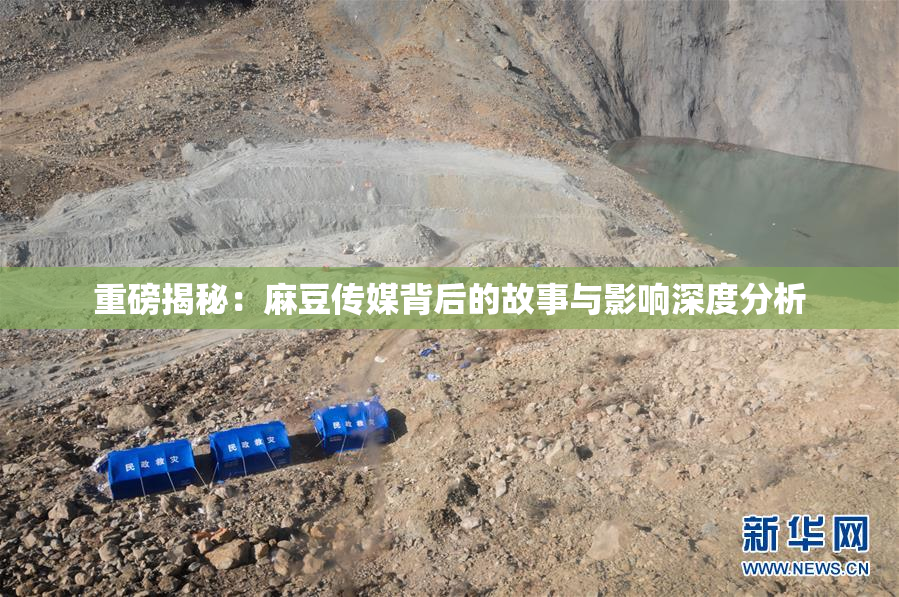 重磅揭秘：麻豆传媒背后的故事与影响深度分析