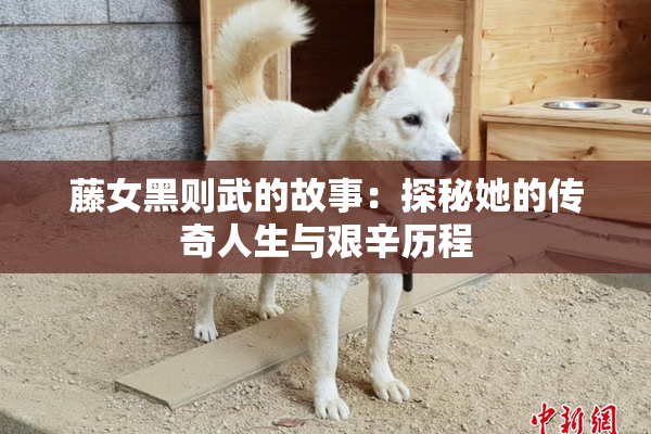藤女黑则武的故事：探秘她的传奇人生与艰辛历程