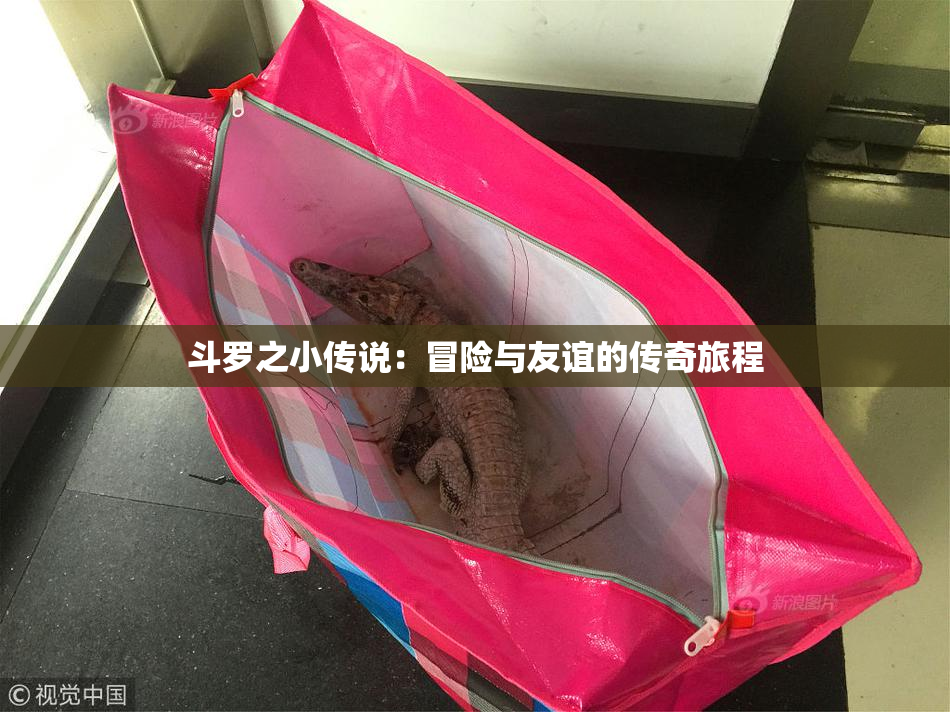 斗罗之小传说：冒险与友谊的传奇旅程