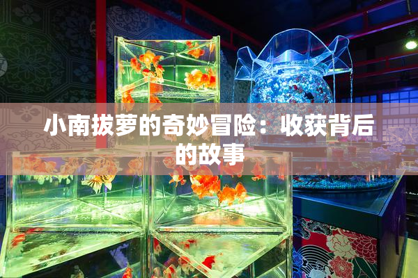 小南拔萝的奇妙冒险：收获背后的故事