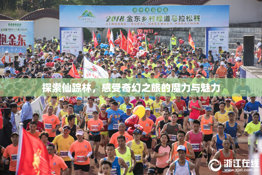 探索仙踪林，感受奇幻之旅的魔力与魅力