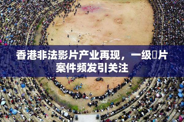 香港非法影片产业再现，一级婬片案件频发引关注