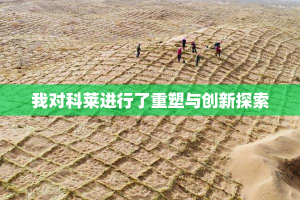 我对科莱进行了重塑与创新探索