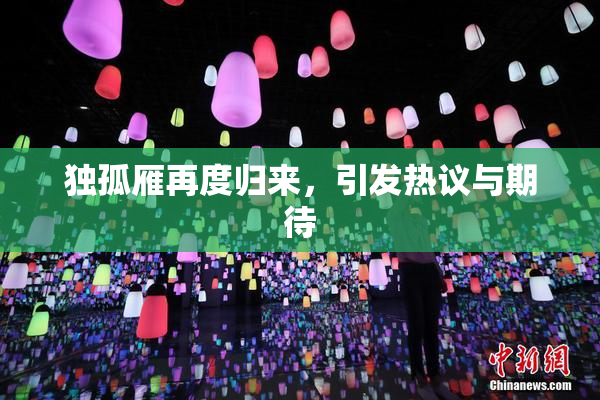 独孤雁再度归来，引发热议与期待