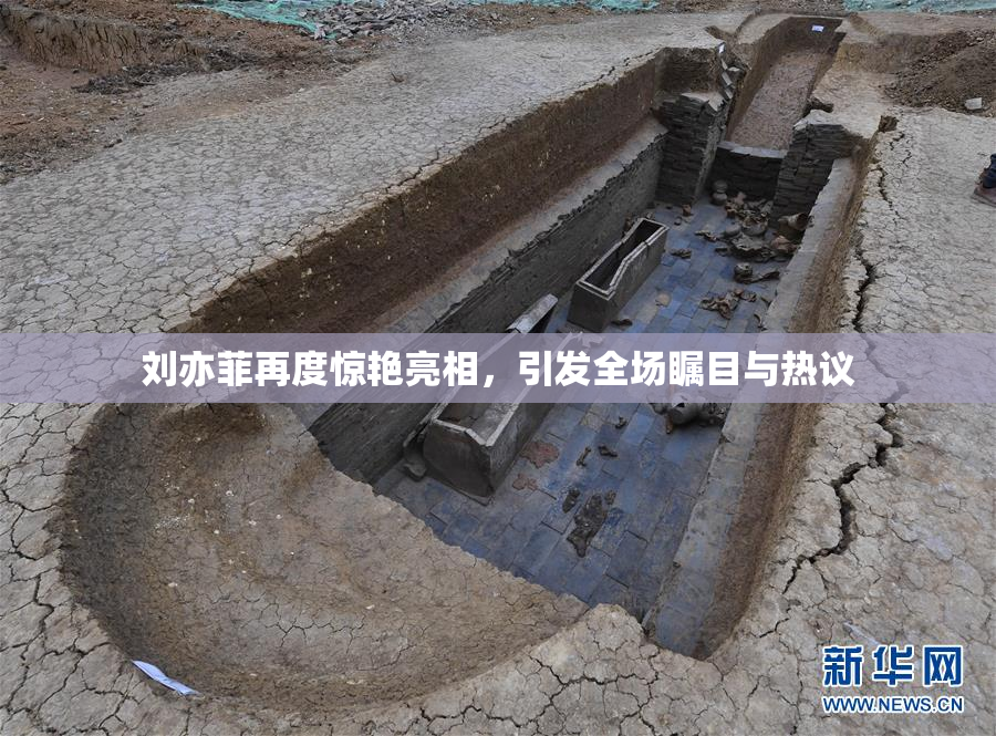 刘亦菲再度惊艳亮相，引发全场瞩目与热议