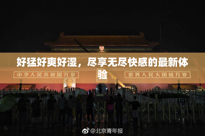 好猛好爽好湿，尽享无尽快感的最新体验
