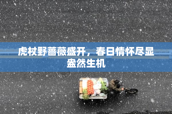 虎杖野蔷薇盛开，春日情怀尽显盎然生机