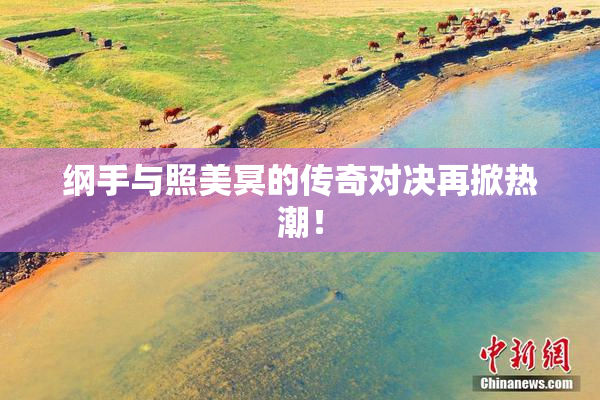 纲手与照美冥的传奇对决再掀热潮！