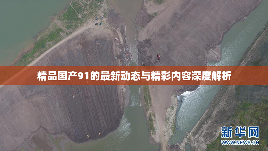 精品国产91的最新动态与精彩内容深度解析