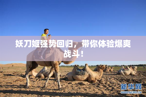 妖刀姬强势回归，带你体验爆爽战斗！