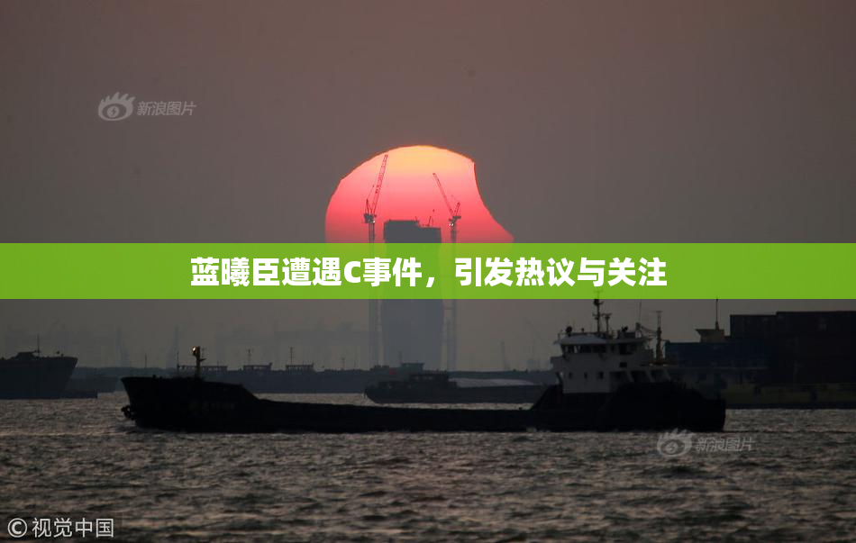 蓝曦臣遭遇C事件，引发热议与关注