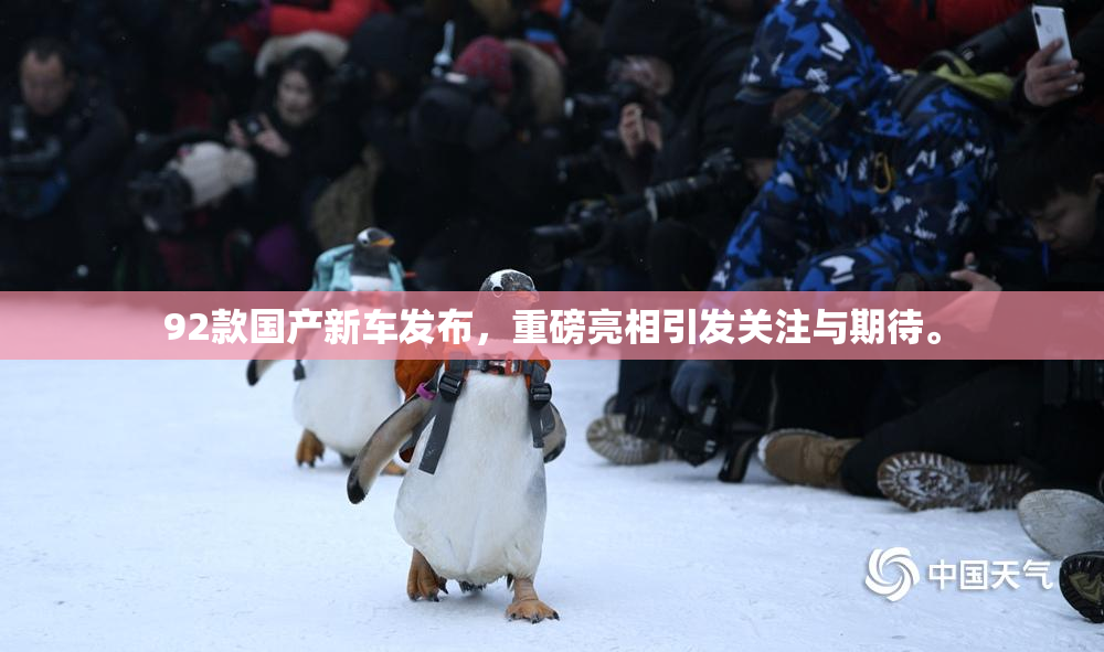 92款国产新车发布，重磅亮相引发关注与期待。