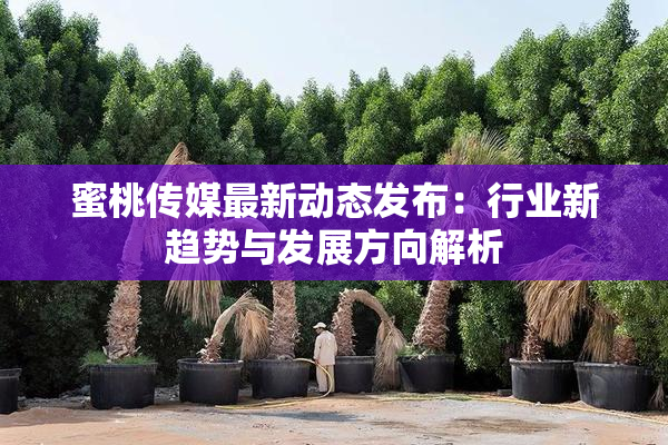蜜桃传媒最新动态发布：行业新趋势与发展方向解析