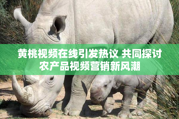 黄桃视频在线引发热议 共同探讨农产品视频营销新风潮