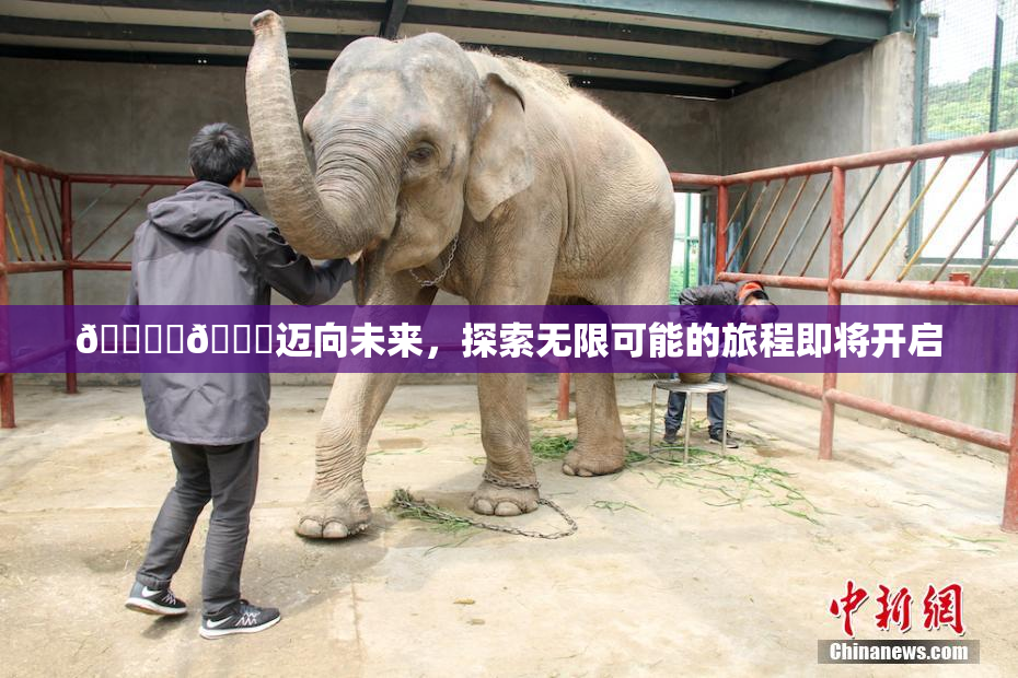 🔞‌🍌迈向未来，探索无限可能的旅程即将开启